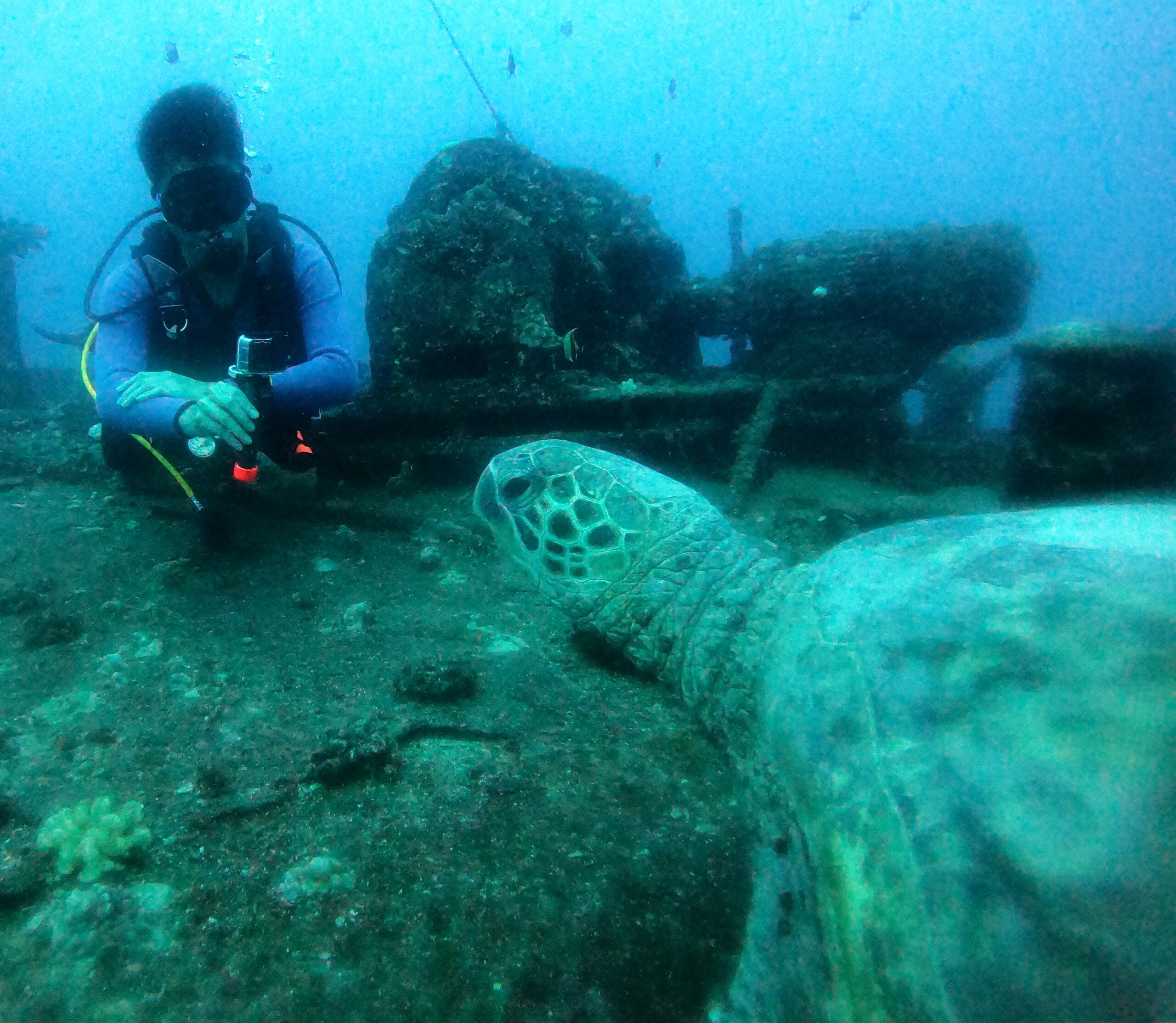 SCUBA diving the depths of O’ahu’s southshore