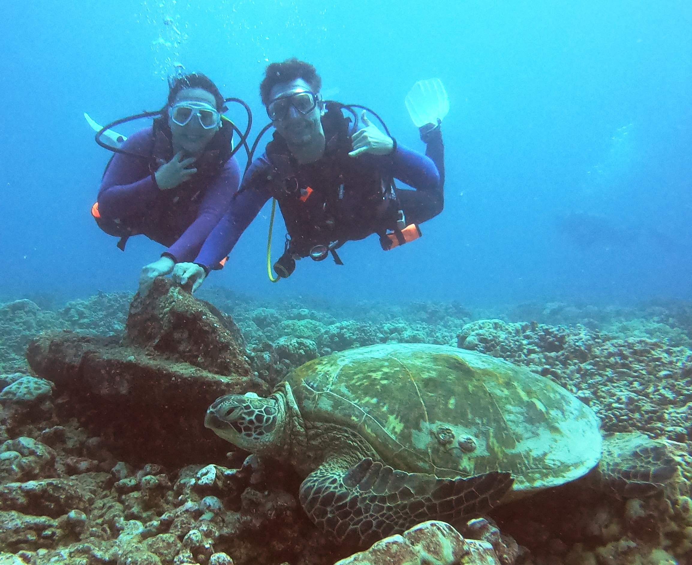 Two days of diving with Honolulu Honu Divers
