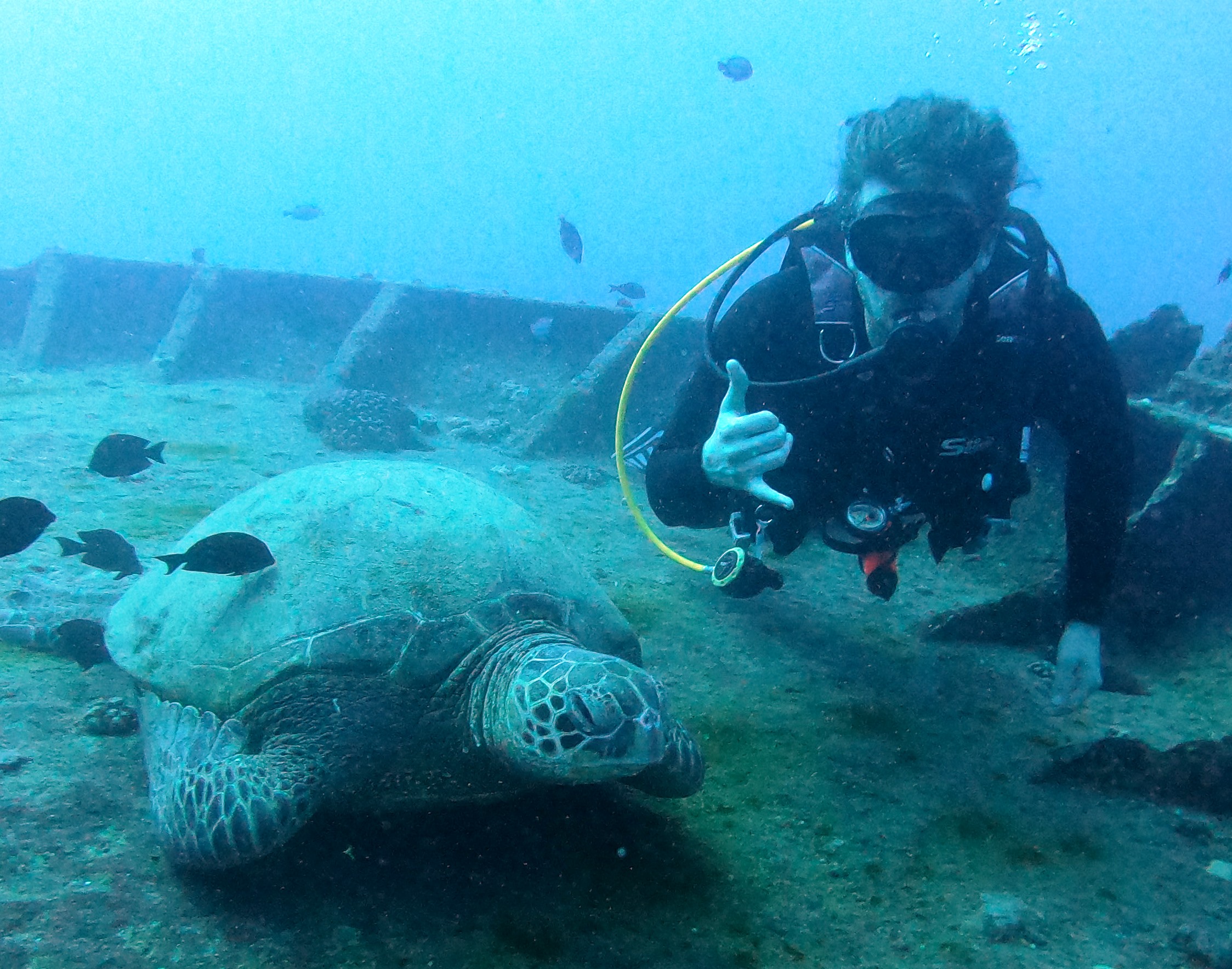 David Hoellstedt on the Sea Tiger shipwreck