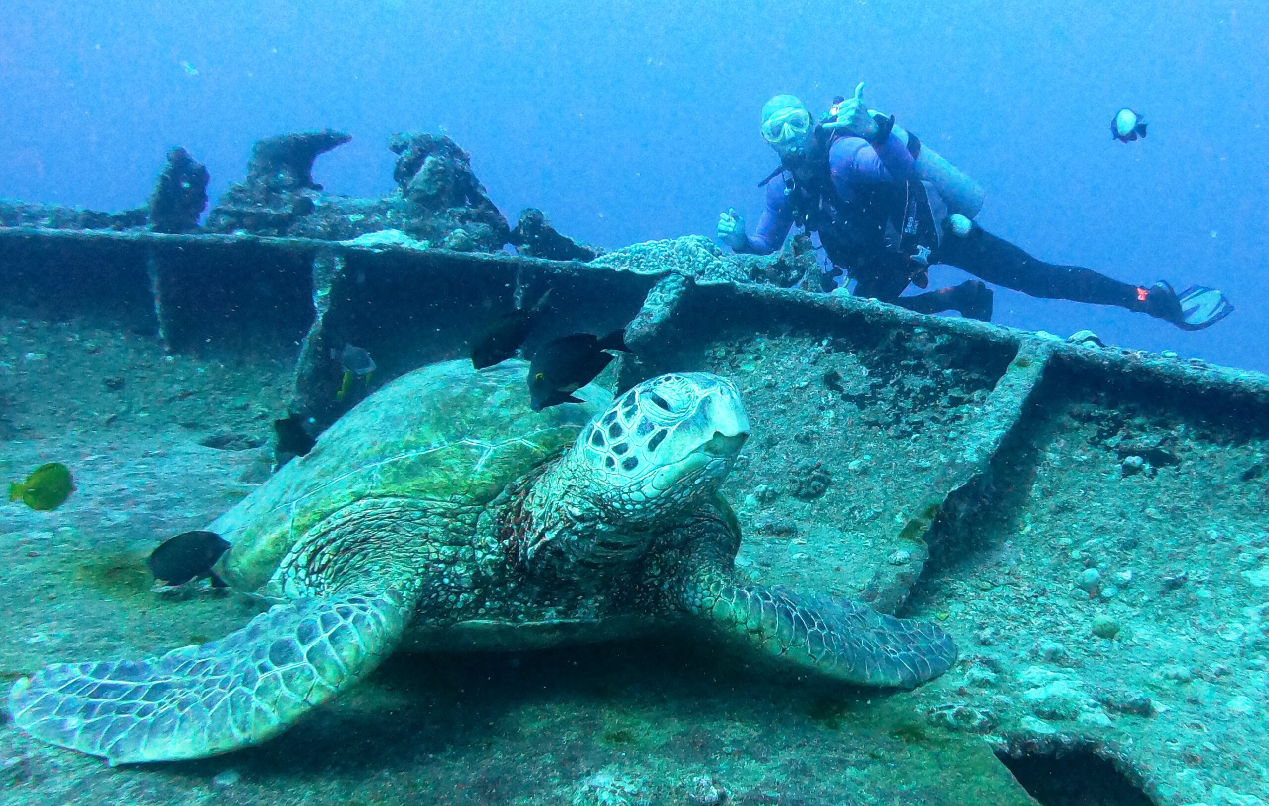 Michael Schmitt diving the Sea Tiger shipwreck