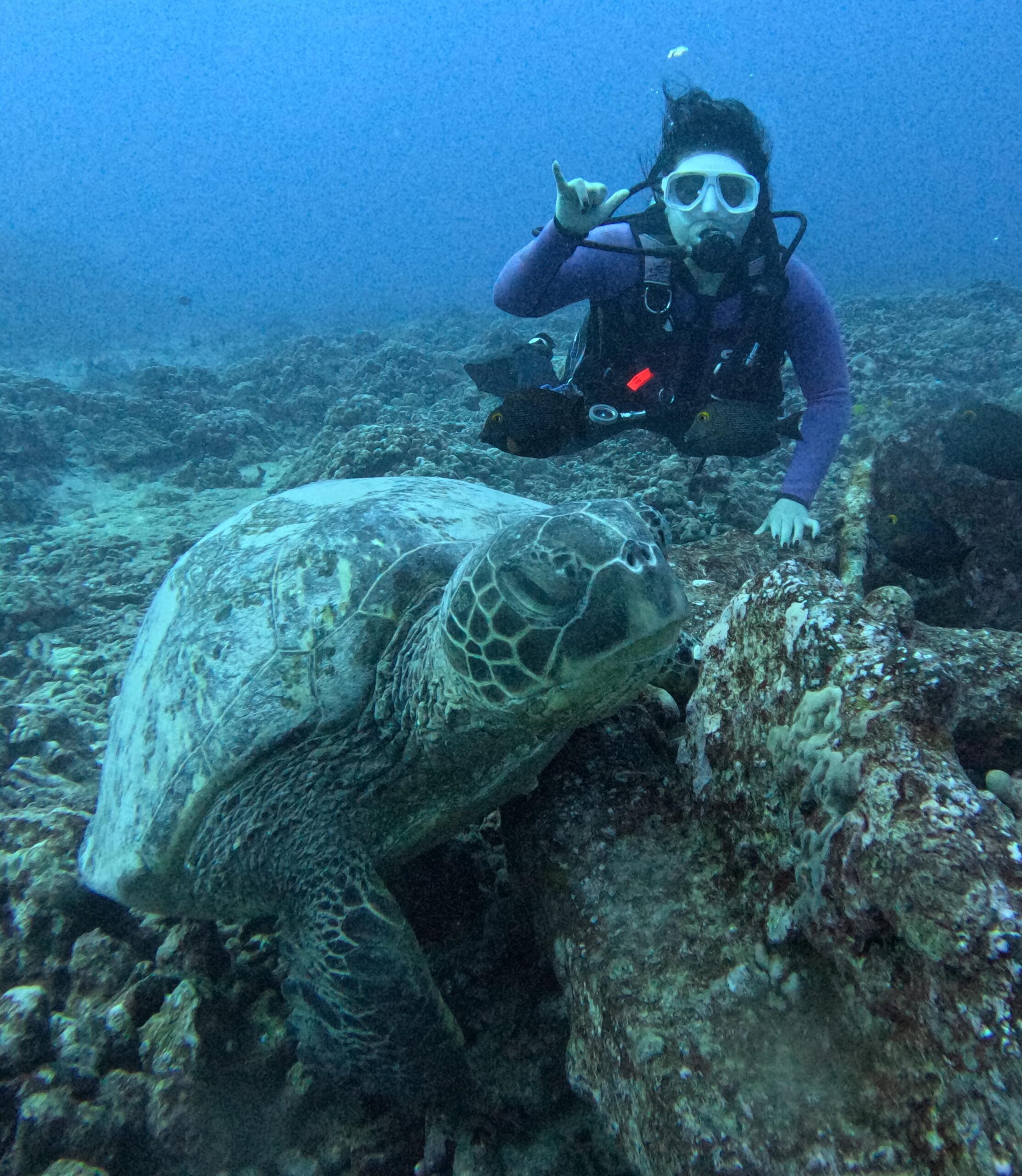 Exploring O’ahu underwater