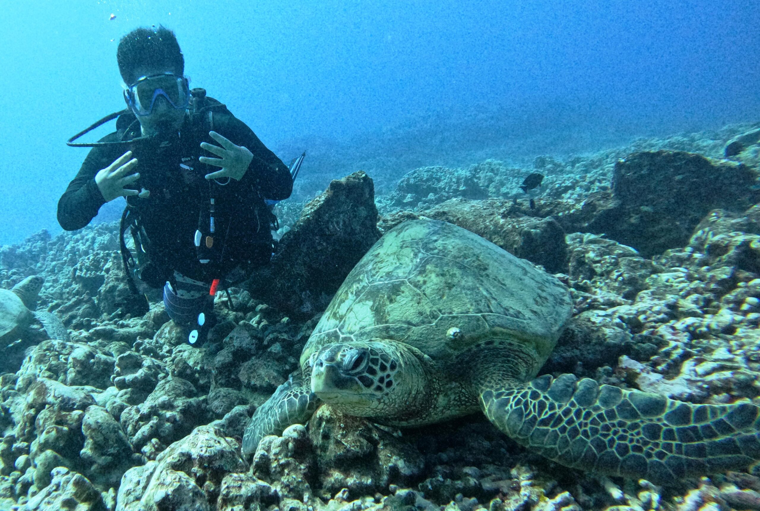 SCUBA on the Sea Tiger